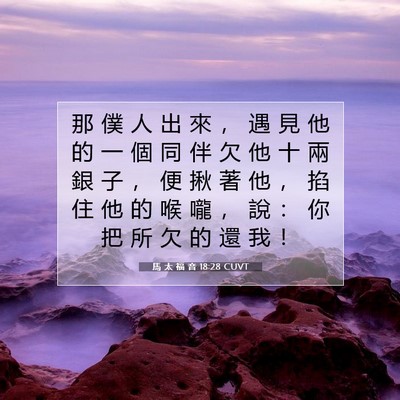 Picture 07 - 馬 太 福 音 18:28 CUVT - 那 僕 人 出 來 ， 遇 見 他 的 一 個 - Bible Verse Picture