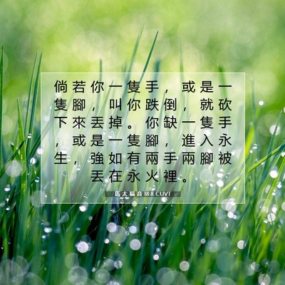 Picture 07 - 馬 太 福 音 18:8 CUVT - 倘 若 你 一 隻 手 ， 或 是 一 隻 腳 - Bible Verse Picture