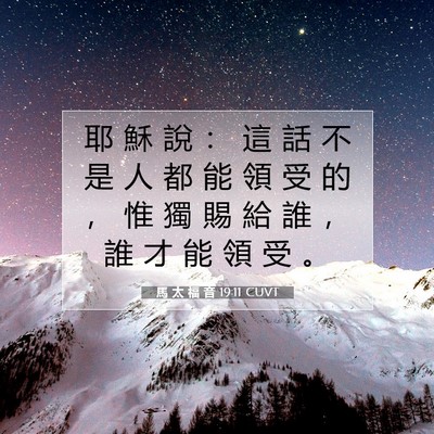 Picture 07 - 馬 太 福 音 19:11 CUVT - 耶 穌 說 ： 這 話 不 是 人 都 能 領 - Bible Verse Picture