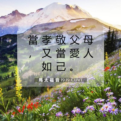 Picture 07 - 馬 太 福 音 19:19 CUVT - 當 孝 敬 父 母 ， 又 當 愛 人 如 己 - Bible Verse Picture