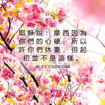 Picture 07 - 馬 太 福 音 19:8 CUVT - 耶 穌 說 ： 摩 西 因 為 你 們 的 心 - Bible Verse Picture