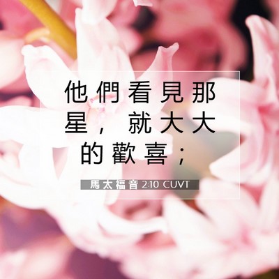 Picture 07 - 馬 太 福 音 2:10 CUVT - 他 們 看 見 那 星 ， 就 大 大 的 歡 - Bible Verse Picture