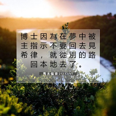 Picture 07 - 馬 太 福 音 2:12 CUVT - 博 士 因 為 在 夢 中 被 主 指 示 不 - Bible Verse Picture