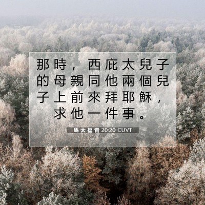 Picture 07 - 馬 太 福 音 20:20 CUVT - 那 時 ， 西 庇 太 兒 子 的 母 親 同 - Bible Verse Picture