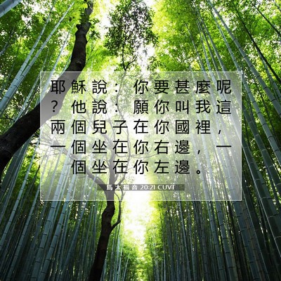 Picture 07 - 馬 太 福 音 20:21 CUVT - 耶 穌 說 ： 你 要 甚 麼 呢 ？ 他 說 - Bible Verse Picture