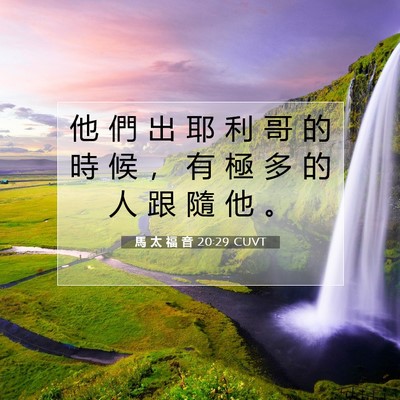 Picture 07 - 馬 太 福 音 20:29 CUVT - 他 們 出 耶 利 哥 的 時 候 ， 有 極 - Bible Verse Picture