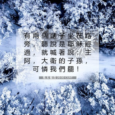 Picture 07 - 馬 太 福 音 20:30 CUVT - 有 兩 個 瞎 子 坐 在 路 旁 ， 聽 說 - Bible Verse Picture