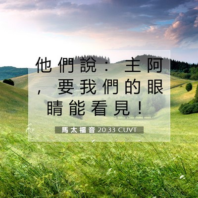 Picture 07 - 馬 太 福 音 20:33 CUVT - 他 們 說 ： 主 阿 ， 要 我 們 的 眼 - Bible Verse Picture