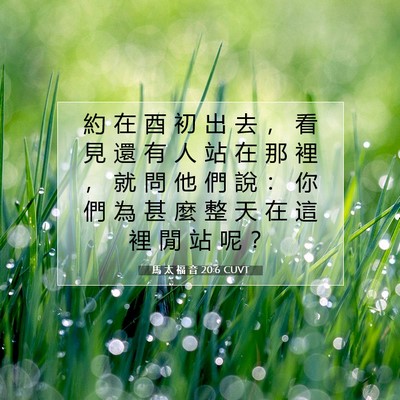 Picture 07 - 馬 太 福 音 20:6 CUVT - 約 在 酉 初 出 去 ， 看 見 還 有 人 - Bible Verse Picture
