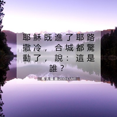 Picture 07 - 馬 太 福 音 21:10 CUVT - 耶 穌 既 進 了 耶 路 撒 冷 ， 合 城 - Bible Verse Picture
