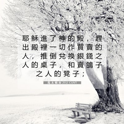 Picture 07 - 馬 太 福 音 21:12 CUVT - 耶 穌 進 了 神 的 殿 ， 趕 出 殿 裡 - Bible Verse Picture