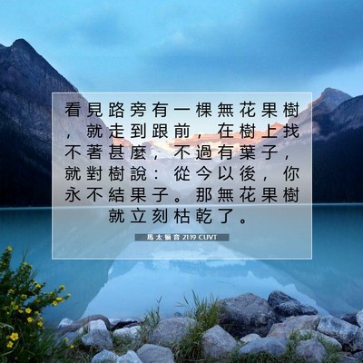 Picture 07 - 馬 太 福 音 21:19 CUVT - 看 見 路 旁 有 一 棵 無 花 果 樹 ， - Bible Verse Picture