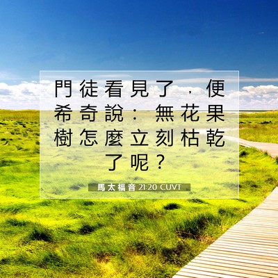 Picture 07 - 馬 太 福 音 21:20 CUVT - 門 徒 看 見 了 ﹐ 便 希 奇 說 ： 無 - Bible Verse Picture