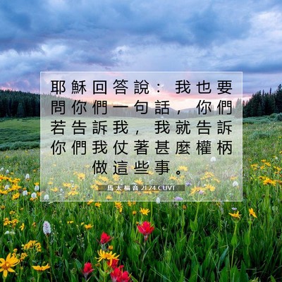 Picture 07 - 馬 太 福 音 21:24 CUVT - 耶 穌 回 答 說 ： 我 也 要 問 你 們 - Bible Verse Picture