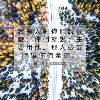 Picture 07 - 馬 太 福 音 21:3 CUVT - 若 有 人 對 你 們 說 甚 麼 ， 你 們 - Bible Verse Picture