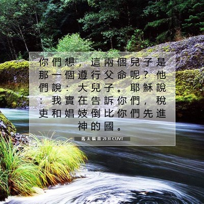 Picture 07 - 馬 太 福 音 21:31 CUVT - 你 們 想 ， 這 兩 個 兒 子 是 那 一 - Bible Verse Picture