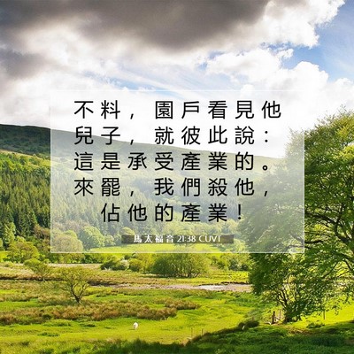 Picture 07 - 馬 太 福 音 21:38 CUVT - 不 料 ， 園 戶 看 見 他 兒 子 ， 就 - Bible Verse Picture