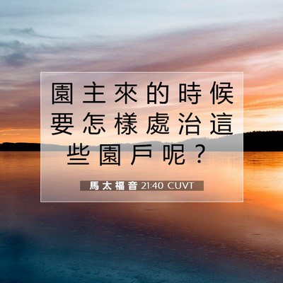 Picture 07 - 馬 太 福 音 21:40 CUVT - 園 主 來 的 時 候 要 怎 樣 處 治 這 - Bible Verse Picture