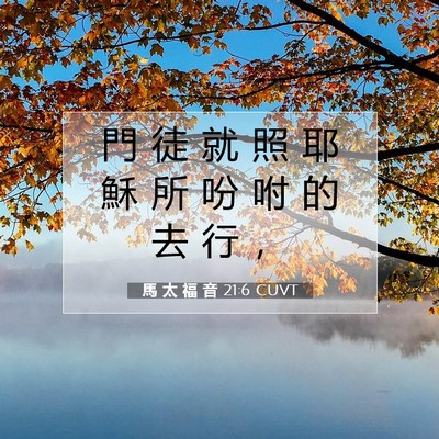 Picture 07 - 馬 太 福 音 21:6 CUVT - 門 徒 就 照 耶 穌 所 吩 咐 的 去 行 - Bible Verse Picture