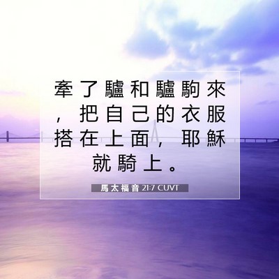Picture 07 - 馬 太 福 音 21:7 CUVT - 牽 了 驢 和 驢 駒 來 ， 把 自 己 的 - Bible Verse Picture