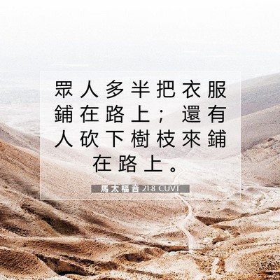 Picture 07 - 馬 太 福 音 21:8 CUVT - 眾 人 多 半 把 衣 服 鋪 在 路 上 ； - Bible Verse Picture