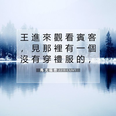 Picture 07 - 馬 太 福 音 22:11 CUVT - 王 進 來 觀 看 賓 客 ， 見 那 裡 有 - Bible Verse Picture