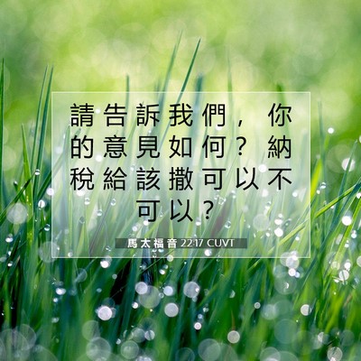 Picture 07 - 馬 太 福 音 22:17 CUVT - 請 告 訴 我 們 ， 你 的 意 見 如 何 - Bible Verse Picture