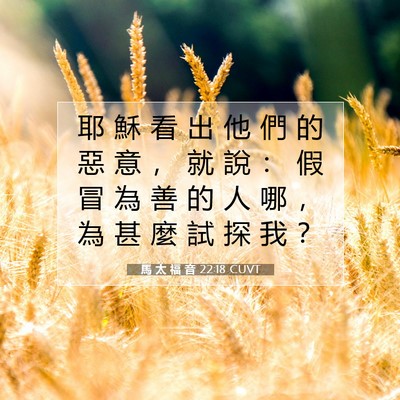 Picture 07 - 馬 太 福 音 22:18 CUVT - 耶 穌 看 出 他 們 的 惡 意 ， 就 說 - Bible Verse Picture