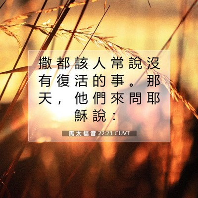 Picture 07 - 馬 太 福 音 22:23 CUVT - 撒 都 該 人 常 說 沒 有 復 活 的 事 - Bible Verse Picture