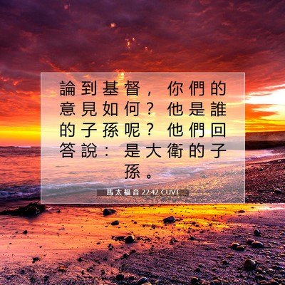 Picture 07 - 馬 太 福 音 22:42 CUVT - 論 到 基 督 ， 你 們 的 意 見 如 何 - Bible Verse Picture