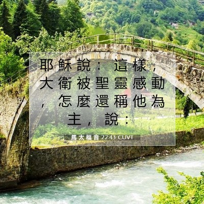 Picture 07 - 馬 太 福 音 22:43 CUVT - 耶 穌 說 ： 這 樣 ， 大 衛 被 聖 靈 - Bible Verse Picture