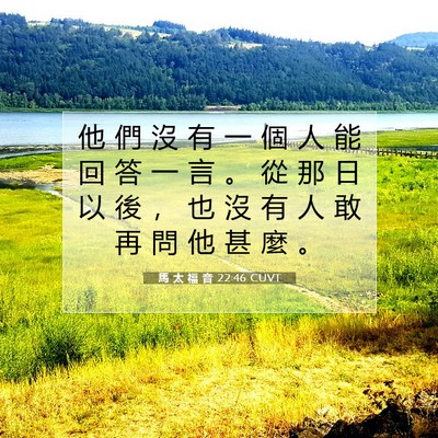 Picture 07 - 馬 太 福 音 22:46 CUVT - 他 們 沒 有 一 個 人 能 回 答 一 言 - Bible Verse Picture