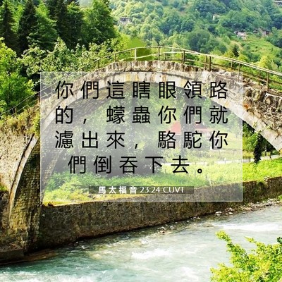 Picture 07 - 馬 太 福 音 23:24 CUVT - 你 們 這 瞎 眼 領 路 的 ， 蠓 蟲 你 - Bible Verse Picture