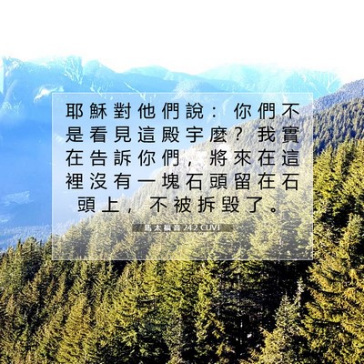 Picture 07 - 馬 太 福 音 24:2 CUVT - 耶 穌 對 他 們 說 ： 你 們 不 是 看 - Bible Verse Picture