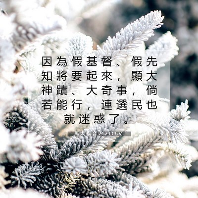 Picture 07 - 馬 太 福 音 24:24 CUVT - 因 為 假 基 督 、 假 先 知 將 要 起 - Bible Verse Picture
