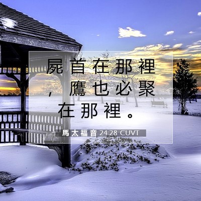 Picture 07 - 馬 太 福 音 24:28 CUVT - 屍 首 在 那 裡 ， 鷹 也 必 聚 在 那 - Bible Verse Picture