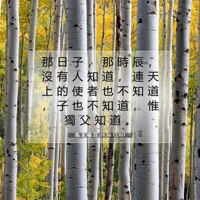 Picture 07 - 馬 太 福 音 24:36 CUVT - 那 日 子 ， 那 時 辰 ， 沒 有 人 知 - Bible Verse Picture