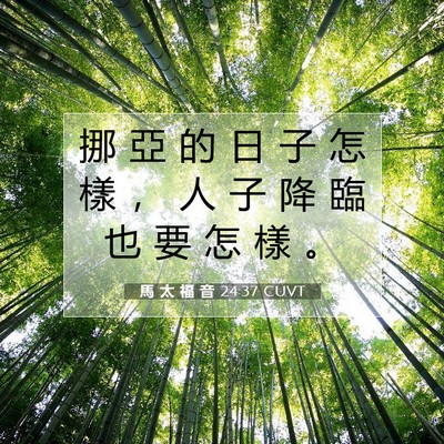 Picture 07 - 馬 太 福 音 24:37 CUVT - 挪 亞 的 日 子 怎 樣 ， 人 子 降 臨 - Bible Verse Picture