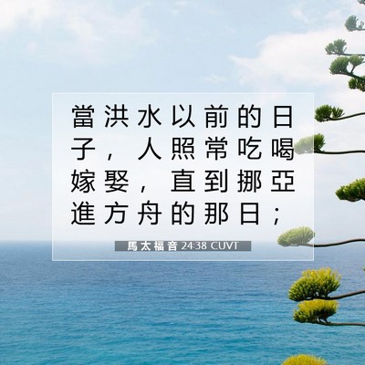Picture 07 - 馬 太 福 音 24:38 CUVT - 當 洪 水 以 前 的 日 子 ， 人 照 常 - Bible Verse Picture