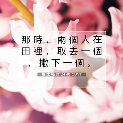 Picture 07 - 馬 太 福 音 24:40 CUVT - 那 時 ， 兩 個 人 在 田 裡 ， 取 去 - Bible Verse Picture