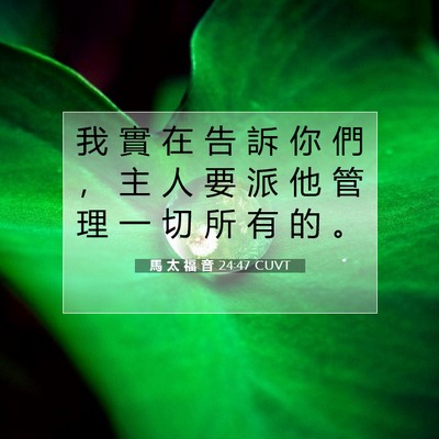 Picture 07 - 馬 太 福 音 24:47 CUVT - 我 實 在 告 訴 你 們 ， 主 人 要 派 - Bible Verse Picture
