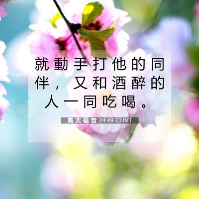 Picture 07 - 馬 太 福 音 24:49 CUVT - 就 動 手 打 他 的 同 伴 ， 又 和 酒 - Bible Verse Picture