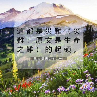 Picture 07 - 馬 太 福 音 24:8 CUVT - 這 都 是 災 難 （ 災 難 ： 原 文 是 - Bible Verse Picture