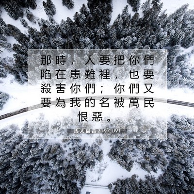Picture 07 - 馬 太 福 音 24:9 CUVT - 那 時 ， 人 要 把 你 們 陷 在 患 難 - Bible Verse Picture