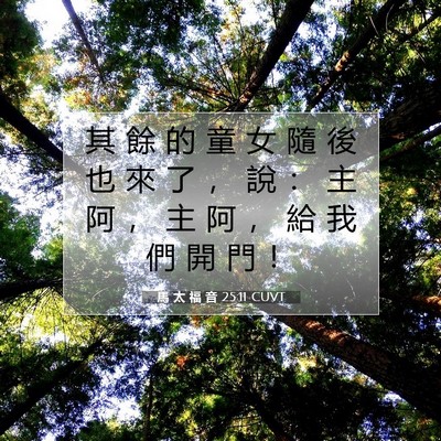 Picture 07 - 馬 太 福 音 25:11 CUVT - 其 餘 的 童 女 隨 後 也 來 了 ， 說 - Bible Verse Picture