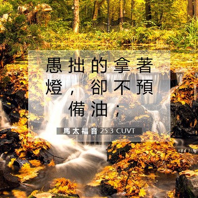 Picture 07 - 馬 太 福 音 25:3 CUVT - 愚 拙 的 拿 著 燈 ， 卻 不 預 備 油 - Bible Verse Picture