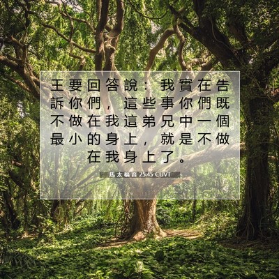 Picture 07 - 馬 太 福 音 25:45 CUVT - 王 要 回 答 說 ： 我 實 在 告 訴 你 - Bible Verse Picture