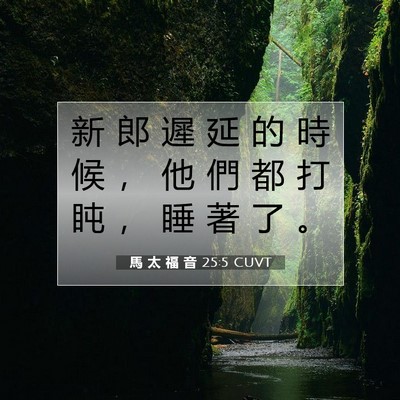 Picture 07 - 馬 太 福 音 25:5 CUVT - 新 郎 遲 延 的 時 候 ， 他 們 都 打 - Bible Verse Picture