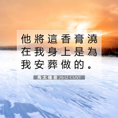 Picture 07 - 馬 太 福 音 26:12 CUVT - 他 將 這 香 膏 澆 在 我 身 上 是 為 - Bible Verse Picture