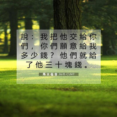 Picture 07 - 馬 太 福 音 26:15 CUVT - 說 ： 我 把 他 交 給 你 們 ， 你 們 - Bible Verse Picture